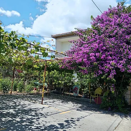 Apartment Silva Trogir