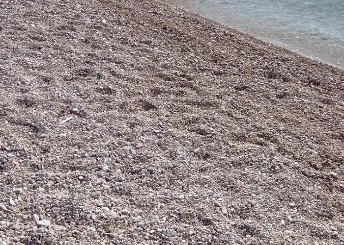 Апартаменти Silva Трогір